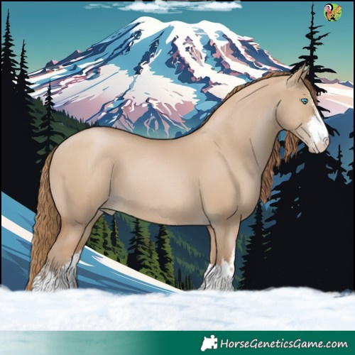 Horse Color:White Spotted Grullo Pearl 