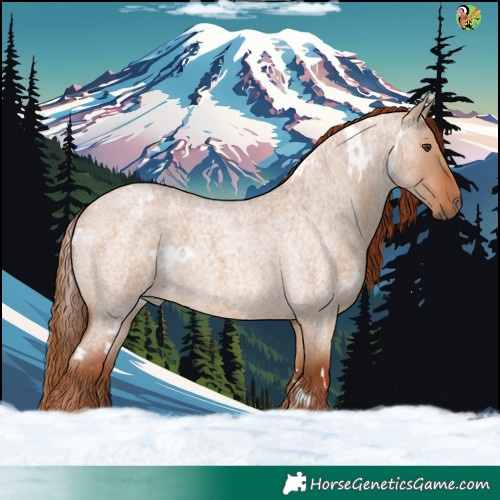 Horse Color:White Spotted Red Dun Roan