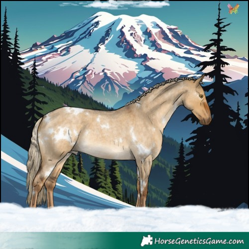 Horse Color:White Spotted Chocolate Palomino Roan Dun Rabicano 