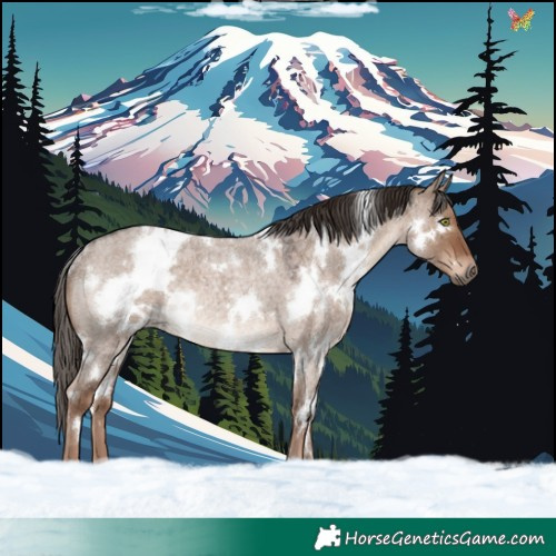 Horse Color:White Spotted Liver Red Dun Roan Rabicano