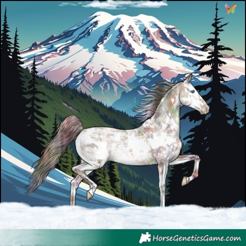 Horse Color:Nacre White Spotted Liver Red Dun Ice Splash