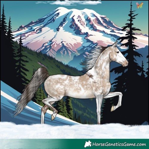 Horse Color:White Spotted Liver Red Dun Ice Splash Varnish