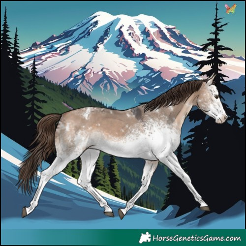 Horse Color:White Spotted Bay Ice Dun Varnish Rabicano 