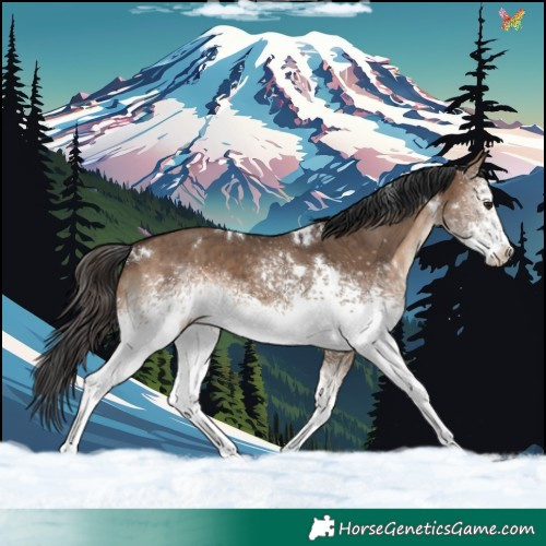 Horse Color:White Spotted Brown Dun Rabicano Brindle 