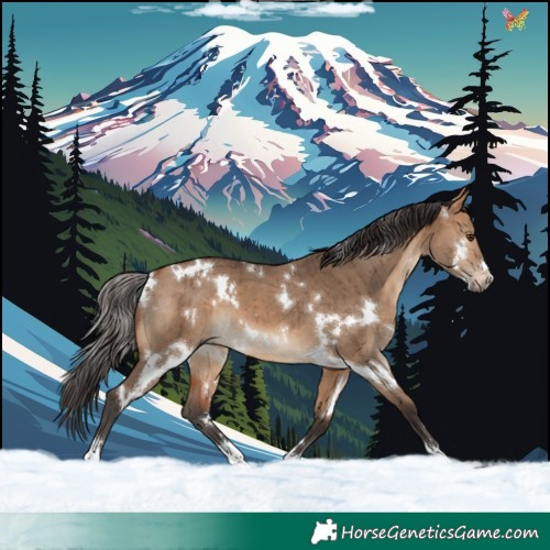 Horse Color:White Spotted Bay Dun Brindle 