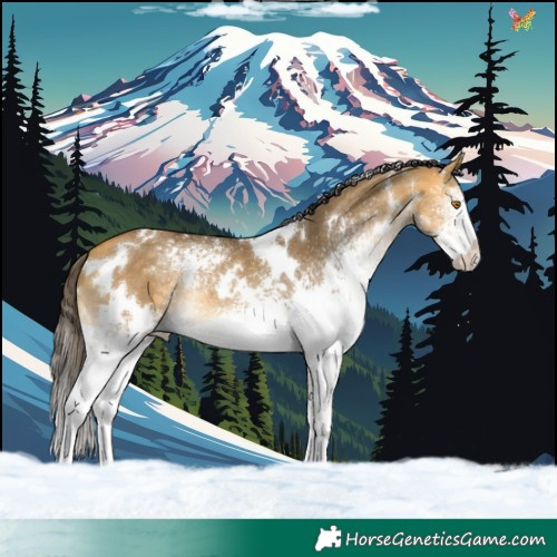 Horse Color:White Spotted Buckskin Dun