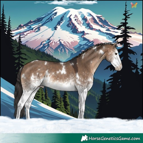 Horse Color:White Spotted Brown Dun Rabicano 
