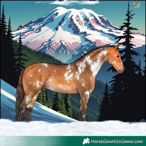 Horse Color:White Spotted Buckskin Dun Rabicano