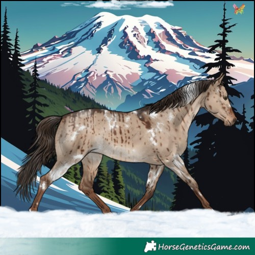 Horse Color:White Spotted Liver Red Dun Rabicano Brindle 