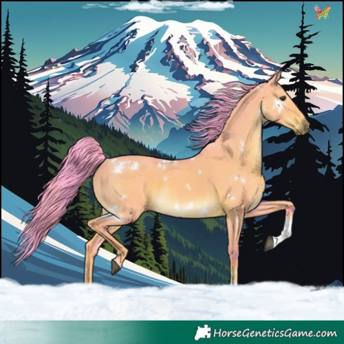 Horse Color:Watercolor White Spotted Liver Red Dun Tobiano Rabicano