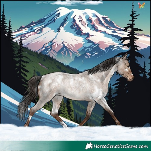 Horse Color:White Spotted Liver Red Dun Roan Rabicano 