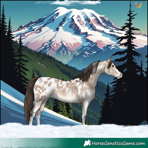 Horse Color:White Spotted Bay Dun Near Leopard Rabicano 