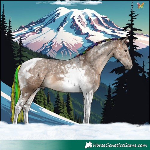 Horse Color:Painted Brown Dun Tobiano