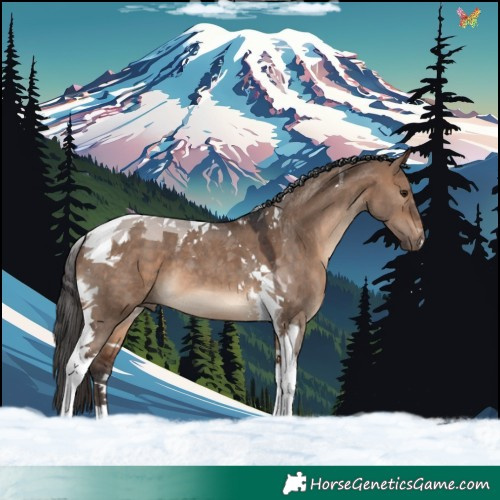 Horse Color:Brown Dun Tobiano 