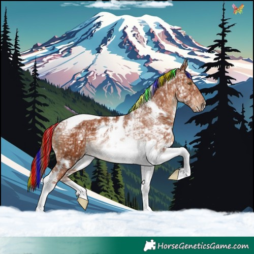 Horse Color:Painted White Spotted Chestnut Ice Tobiano 