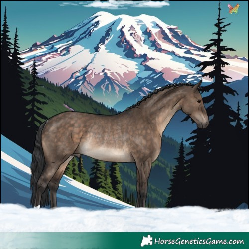 Horse Color:Brown Dun Rabicano