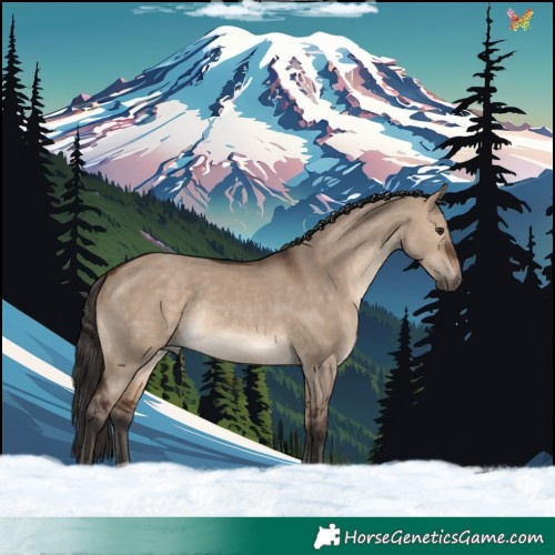 Horse Color:Brown Dun Rabicano