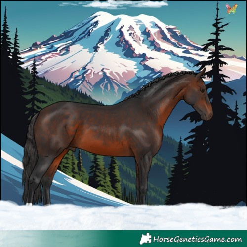 Horse Color:Brown 