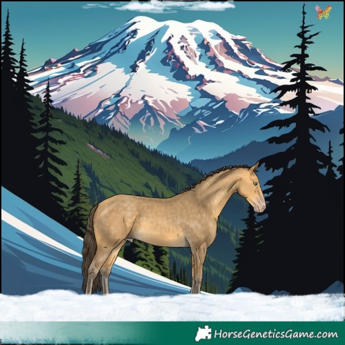 Horse Color:Amber Cream Champagne 