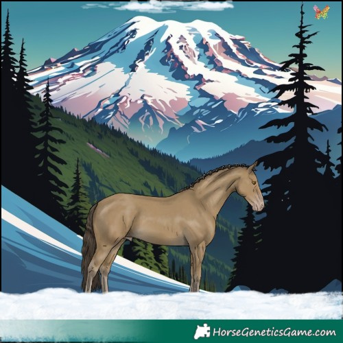 Horse Color:Classic Cream Champagne 