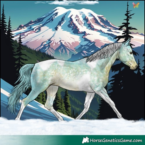 Horse Color:Watercolor Liver Chestnut Ice Tobiano Rabicano