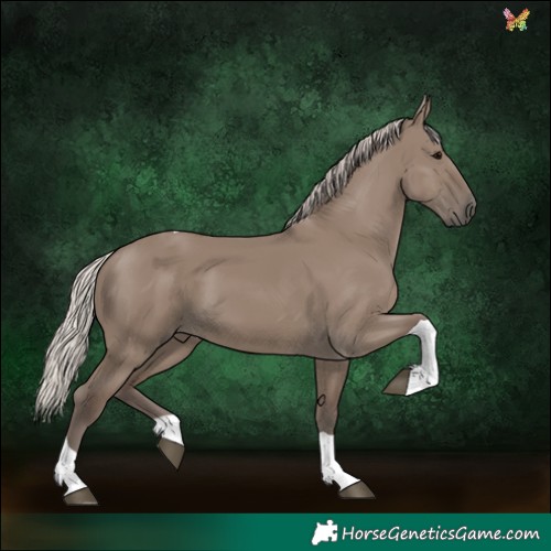 Horse Color:Silver Grullo Tobiano 