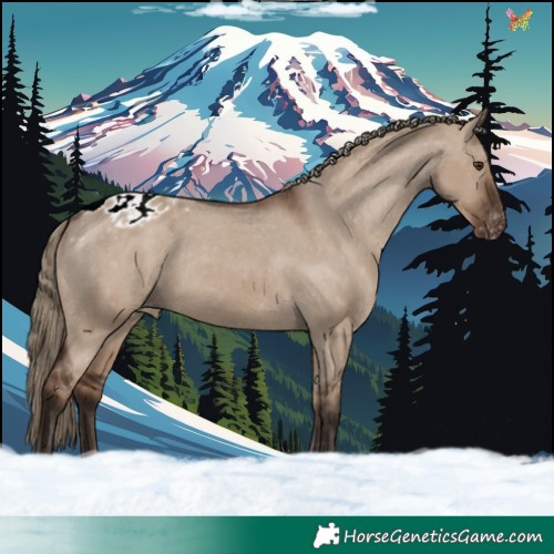 Horse Color:Liver Red Dun Tobiano Varnish 