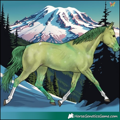 Horse Color:Watercolor Grullo Tobiano Appaloosa 