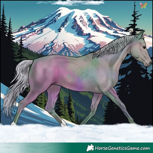 Horse Color:Watercolor Silver Black 
