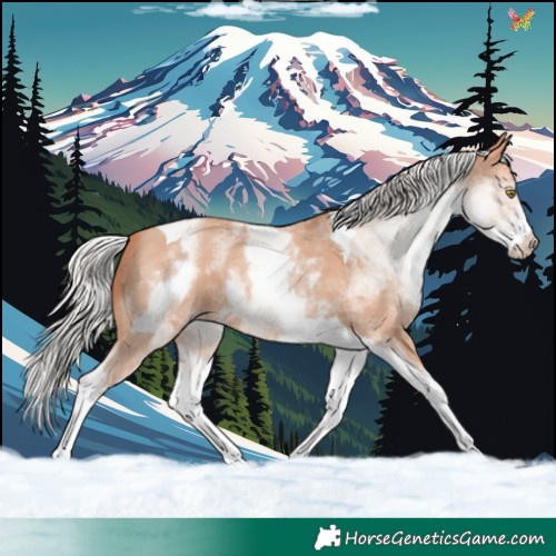 Horse Color:White Spotted Silver Amber Champagne Tobiano 