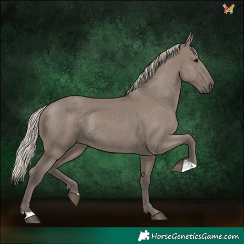 Horse Color:Silver Smoky Grullo 