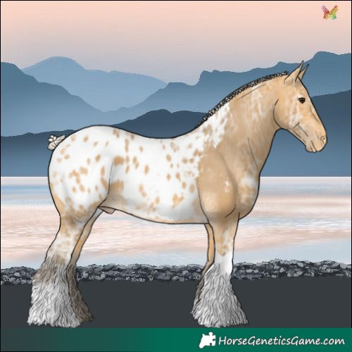 Horse Color:Silver Buckskin Ice Tobiano Blanket 