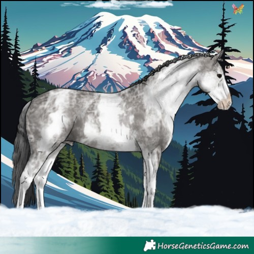 Horse Color:White Spotted Grullo Ice 