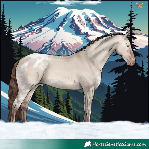 Horse Color:Sable Champagne Ice Dun Varnish 