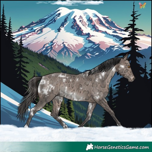 Horse Color:White Spotted Brown Ice Dun Mushroom Rabicano 