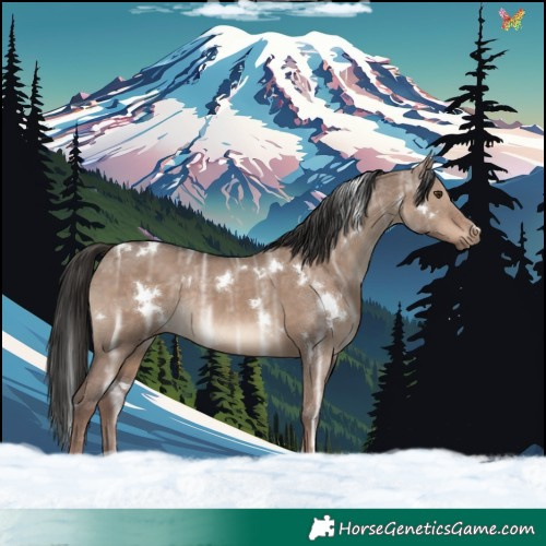 Horse Color:White Spotted Liver Red Dun Ice Rabicano 