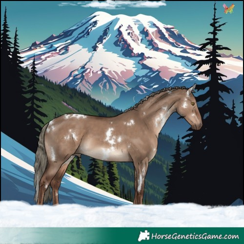 Horse Color:White Spotted Liver Red Dun Mushroom Rabicano