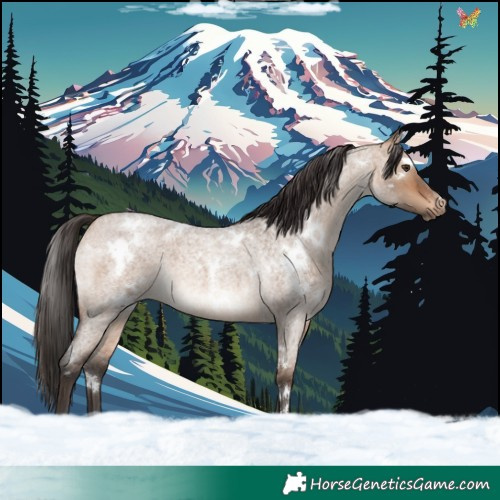 Horse Color:White Spotted Bay Roan Dun Rabicano 