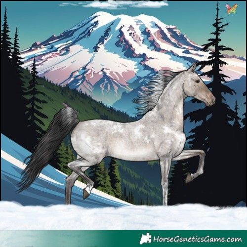 Horse Color:White Spotted Brown Ice Roan Dun Rabicano 