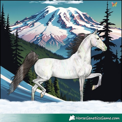 Horse Color:White Spotted Bay Ice Roan Dun Rabicano 