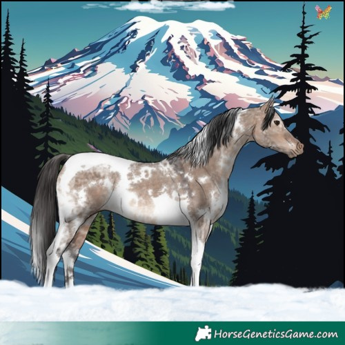 Horse Color:White Spotted Brown Ice Dun Tobiano Rabicano 