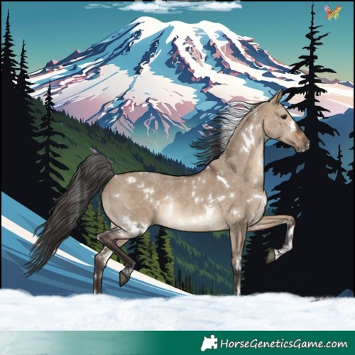 Horse Color:White Spotted Brown Dun Rabicano 