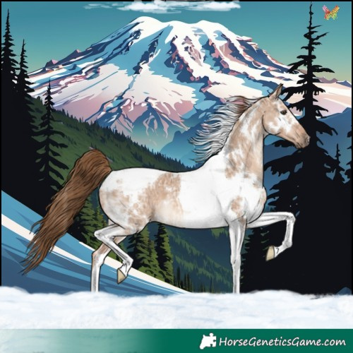 Horse Color:White Spotted Red Dun Ice Tobiano Rabicano 