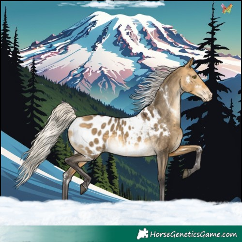 Horse Color:White Spotted Silver Buckskin Dun Blanket Rabicano 