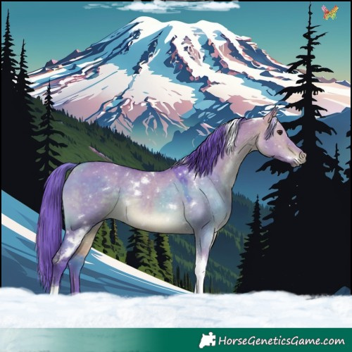 Horse Color:Watercolor White Spotted Bay Dun Tobiano Rabicano
