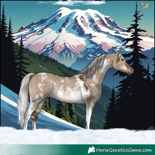Horse Color:White Spotted Silver Brown Dun Tobiano Rabicano