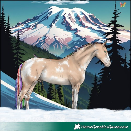 Horse Color:Painted White Spotted Silver Amber Champagne Dun Sabino Rabicano