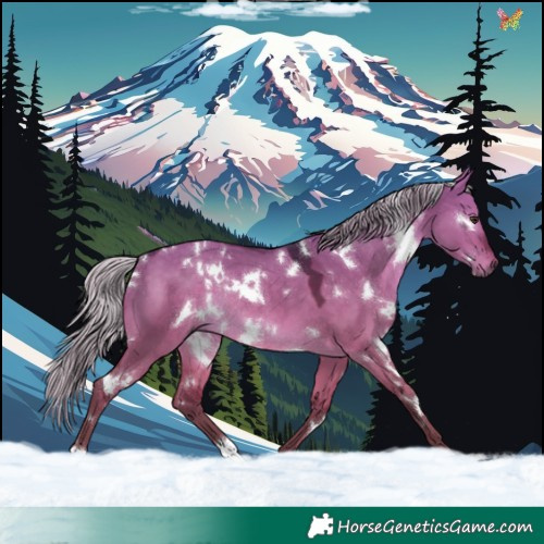 Horse Color:White Spotted Silver Brown Dun Rabicano