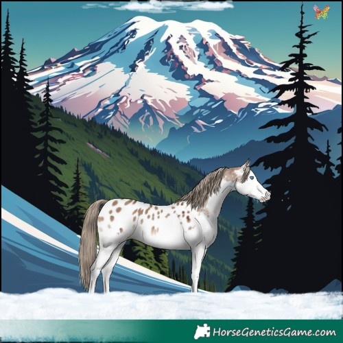 Horse Color:White Spotted Liver Red Dun Splash Appaloosa 