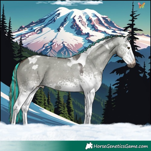 Horse Color:Painted White Spotted Liver Red Dun Tobiano 